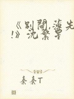 《别闹,薄先生!》沈繁星封面