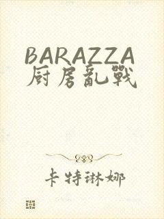 BARAZZA厨房乱战