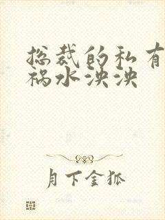 总裁的私有宝贝祸水泱泱