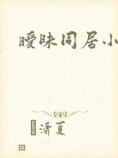 暧昧同居小说封面