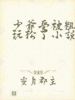 少爷受被粗汉H玩松了小说