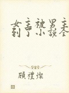 女主被男主们找到了小说全文阅读封面