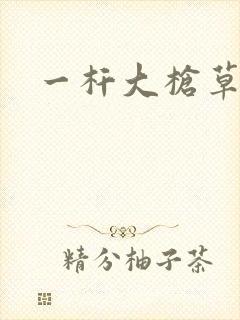 一杆大枪草全家封面