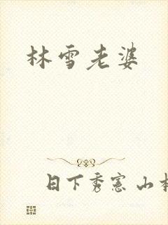林雪老婆封面