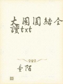 大团圆结全文阅读txt