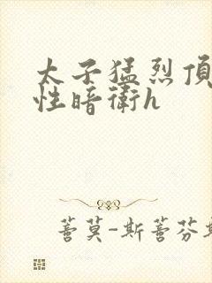 太子猛烈顶弄双性暗卫h