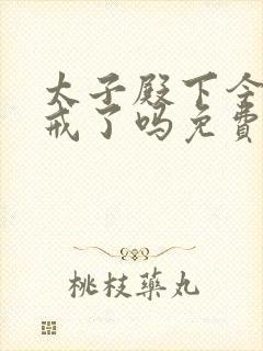 太子殿下今天破戒了吗免费阅读封面