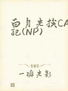 白月光挨CAO记(NP)