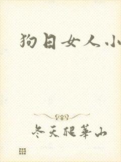 狗日女人小说