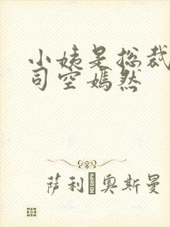 小姨是总裁叶凡司空嫣然