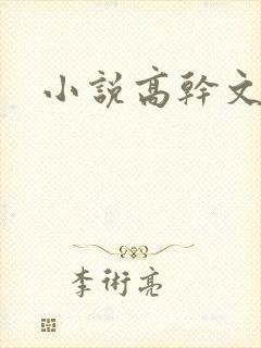 小说高干文高h封面