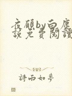 夜愿by白尘小说免费阅读笔趣阁无弹窗