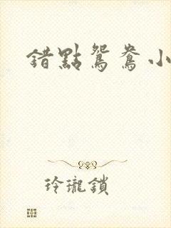 错点鸳鸯小说