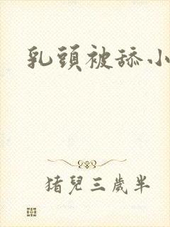 乳头被舔小说封面