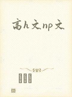 高h文np文