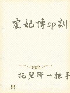 宸妃传sp训诫封面