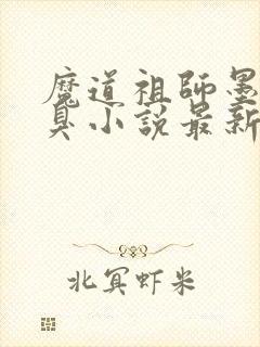 魔道祖师墨香铜臭小说最新篇章封面