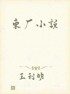 东厂小说封面