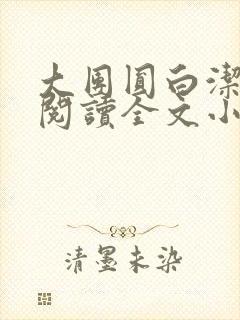 大团圆白洁免费阅读全文小说