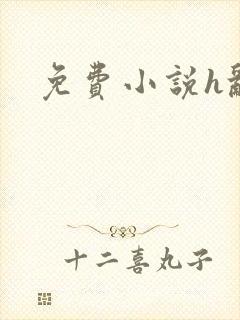 免费小说h乱封面