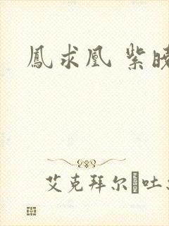 凤求凰 紫晓封面