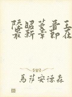 陆昭菱晋王小说最新章节在线阅读