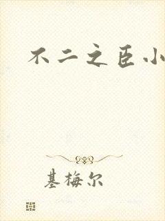 不二之臣小说