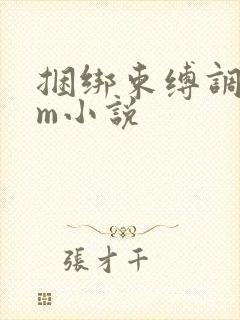 捆绑束缚调教sm小说