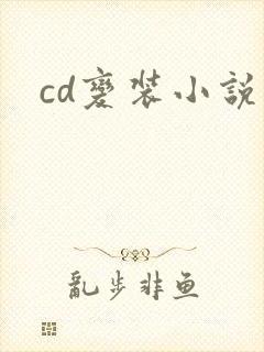 cd变装小说