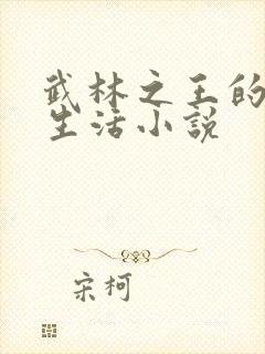 武林之王的退隐生活小说