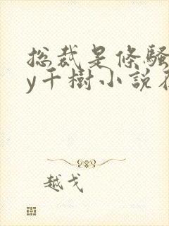 总裁是条骚狗by千树小说在线阅读最新