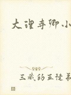 大理寺卿小说封面