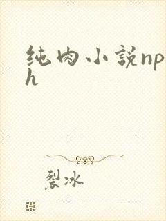 纯肉小说np高h