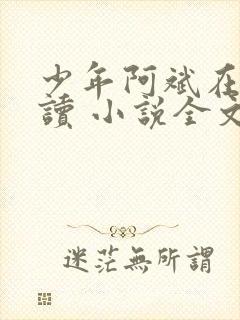 少年阿斌在线阅读 小说全文免费