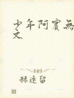 少年阿宾无删全文封面