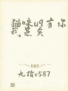 猫咪u9有你有我足矣