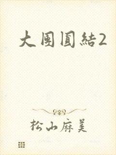 大团圆结2封面