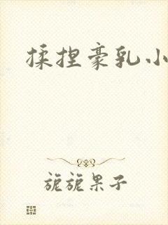 揉捏豪乳小说封面