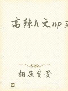 高辣h文np爽