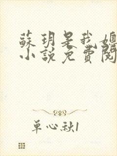 苏玥是我媳妇的小说免费阅读全文