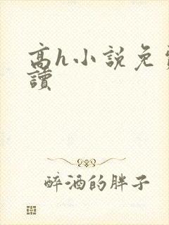 高h小说免费阅读