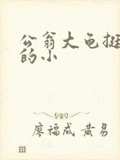 公翁大龟挺进我的小封面