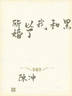 所以我和黑粉结婚了