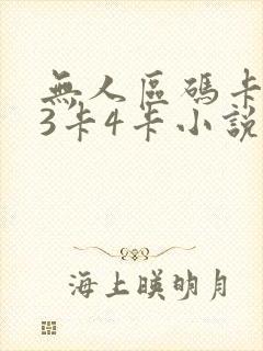 无人区码卡二卡3卡4卡小说封面