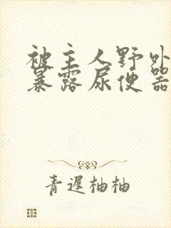 被主人野外调教暴露尿便器