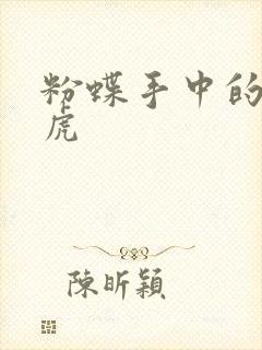 粉蝶手中的纸老虎