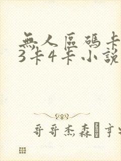 无人区码卡二卡3卡4卡小说