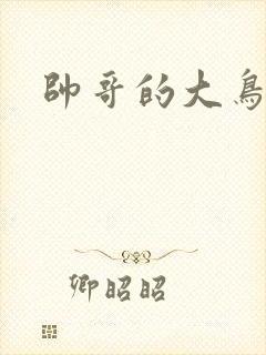 帅哥的大鸟