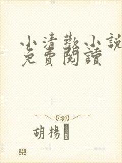 小清欢小说全文免费阅读