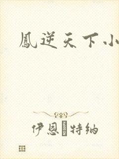 凤逆天下小说